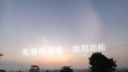青春啊青春,青春啊青春 歌詞