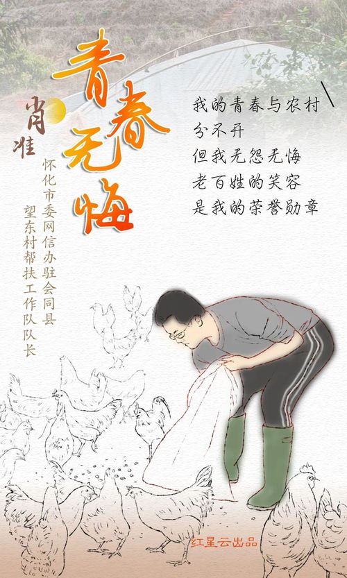 青春無悔的意思,青春無悔什么意思青春無悔的含義