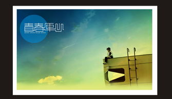 青春沈慶歌詞,“青春的花開花謝，讓我疲憊卻不后悔”是什么歌