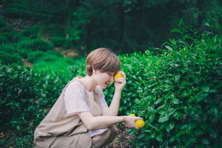 青春的檸檬香2,搞笑青春校園愛情小說