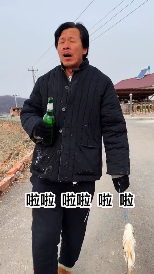 青春青春你別走了,青春青春你別走了是什么歌