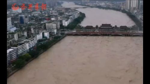 青衣江雅安段現(xiàn)百年一遇洪水,2020現(xiàn)在樂山大佛還能去嗎四川洪水最新消息