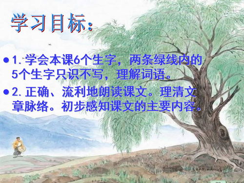 青海高原一株柳課文,青海高原一株柳原文