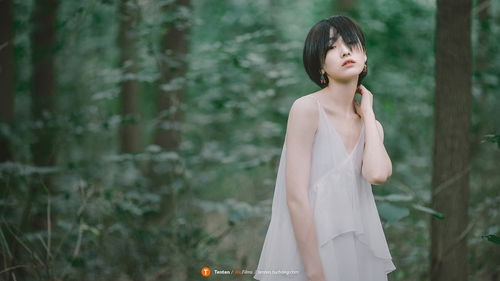 青紗帳邊的女人,大姑娘走進青紗帳是什么意思