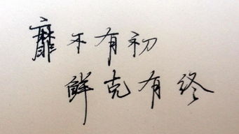 靡不有初,靡不有初鮮克有終是什么意思