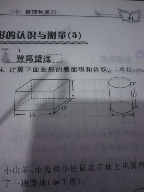 面積,面積的概念是什么