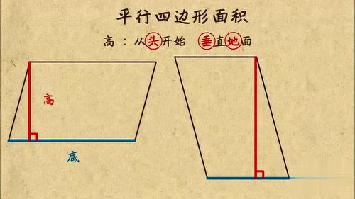 面積怎么算,面積怎么進行計算？