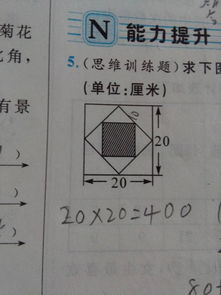 面積怎么算,面積怎么進行計算？