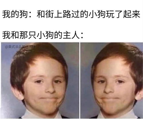 面面相覷,面面相覷的解釋詞語