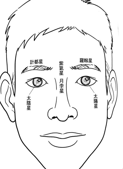 面面相覷,面面相覷的解釋詞語
