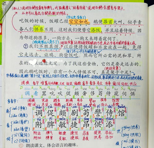 頗組詞,頗組詞三個