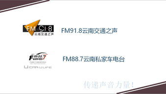 頻率的意思,頻率什么意思