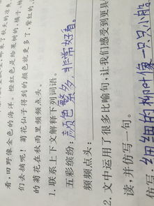 頻頻點頭的意思,頻頻點頭是什么意思？