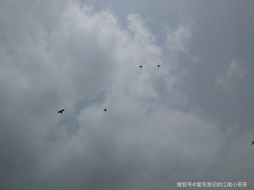 飄揚的近義詞是什么,飄揚的近義詞是什么