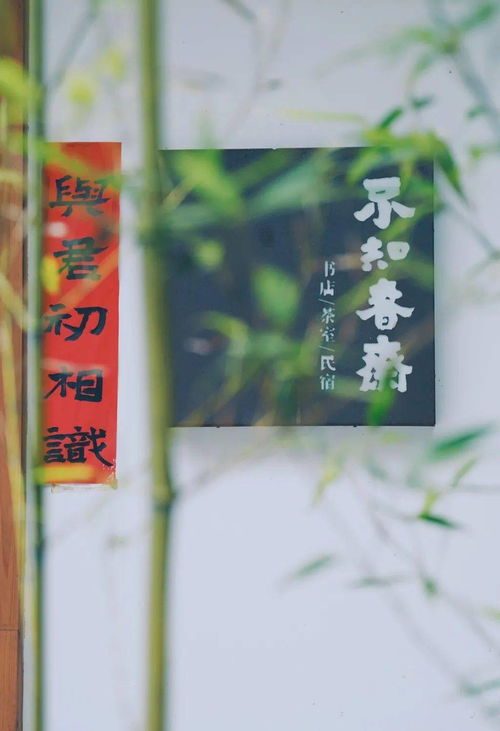 飄飄何所似,《旅夜書懷》翻譯及賞析內容有什么