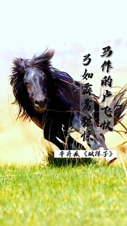 馬做的盧飛快,辛慶疾的詩“馬作的盧飛快”后面一句是什么
