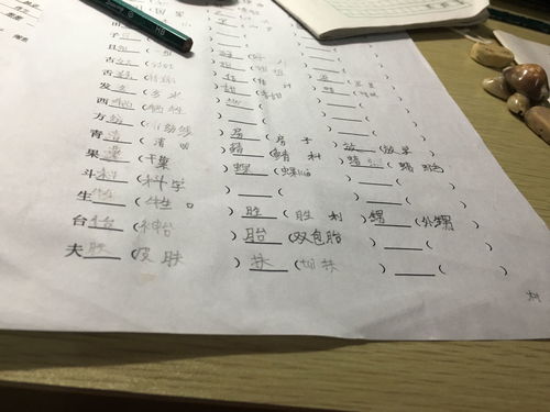 馬加偏旁組新字,馬組字加偏旁是什么呢？