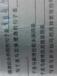馬說的主旨句,馬說的主旨句
