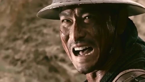 馬革裹尸,馬革裹尸的詞語解釋