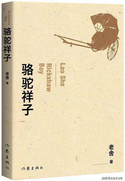 駱駝祥子讀后感400字,駱駝祥子讀后感400字10篇