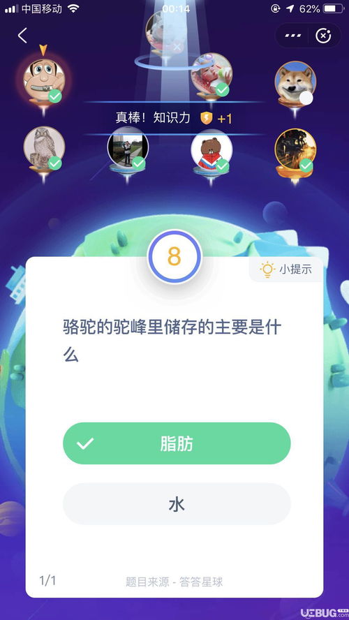 駱駝的駝峰里主要儲存的是什么,駱駝的駝峰里面主要儲存的是什么