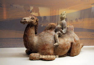 駱駝馭手,魔獸世界駱駝馭手多穆?tīng)査乖谀膬骸！? rel=
