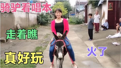 騎驢看唱本的下一句,騎驢看唱本歇后語下一句是什么？