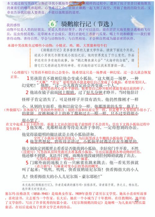騎鵝旅行記課堂筆記,騎鵝旅行記的讀書筆記好詞好句