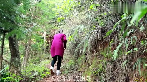 騾子和馬的區別,馬和騾子的區別在哪里？