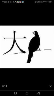 鳥字旁的字和什么有關,鳥字邊的字大部分都和什么有關