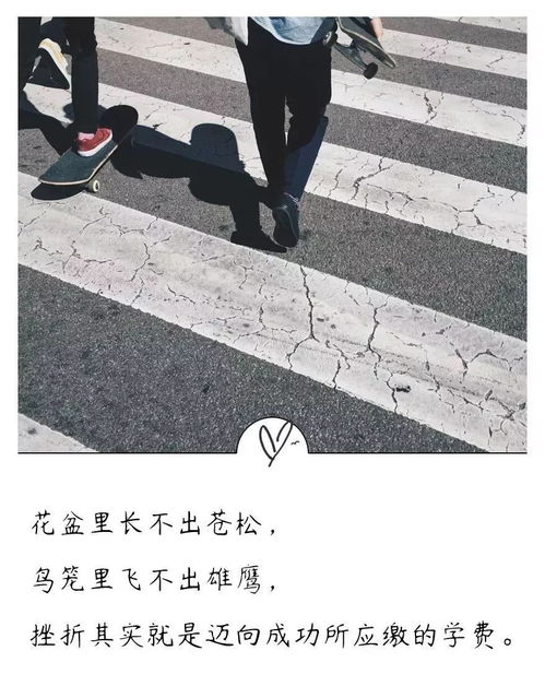 鳥籠里飛不出雄鷹,諺語：鳥籠里飛不出雄鷹上一句是什么？黑發不知勤學早下一句是什么？