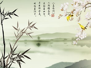 鳥鳴澗,鳥鳴澗古詩原文及翻譯