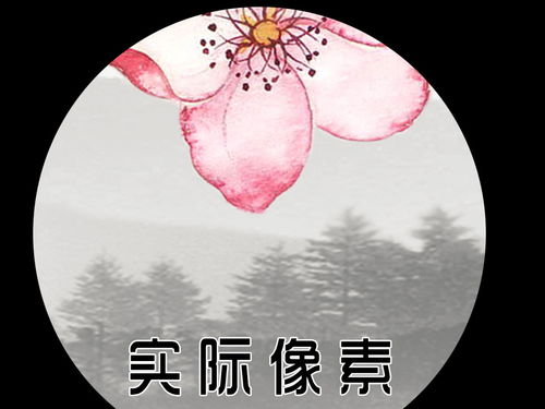 鳥鳴澗的寫作背景,鳥鳴澗的寫作背景