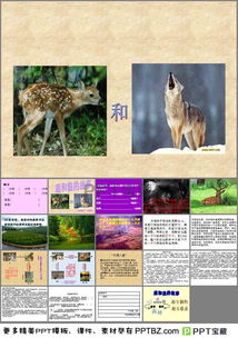鹿和狼的故事教案,14課鹿和狼的故事《知識與能力訓練》