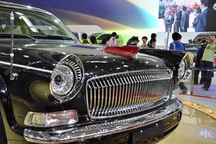 麥兜 車車車車,車啊車這是什么歌
