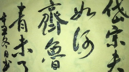 齊魯青未了,岱宗夫如何齊魯青未了全詩