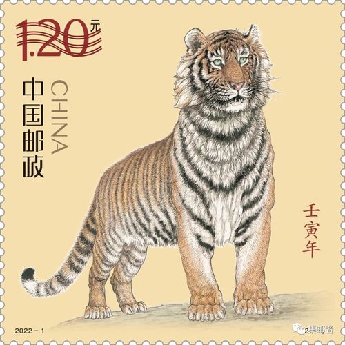 龍頭蛇尾中生肖是什么生肖,龍頭蛇尾中生肖，解出的答案是什么？