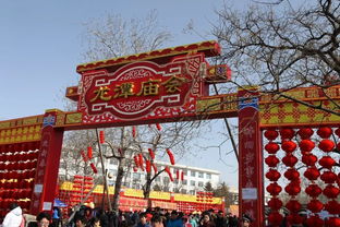 龍潭湖廟會,龍潭湖廟會門票+時間+地點+交通+介紹